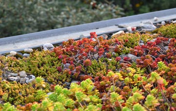the cost of Bennetland green roof installation