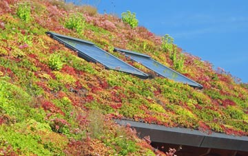 Bennetland living roof systems