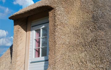 Bennetland thatch roof disadvantages