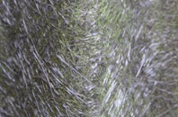 Bennetland fibreglass roof work